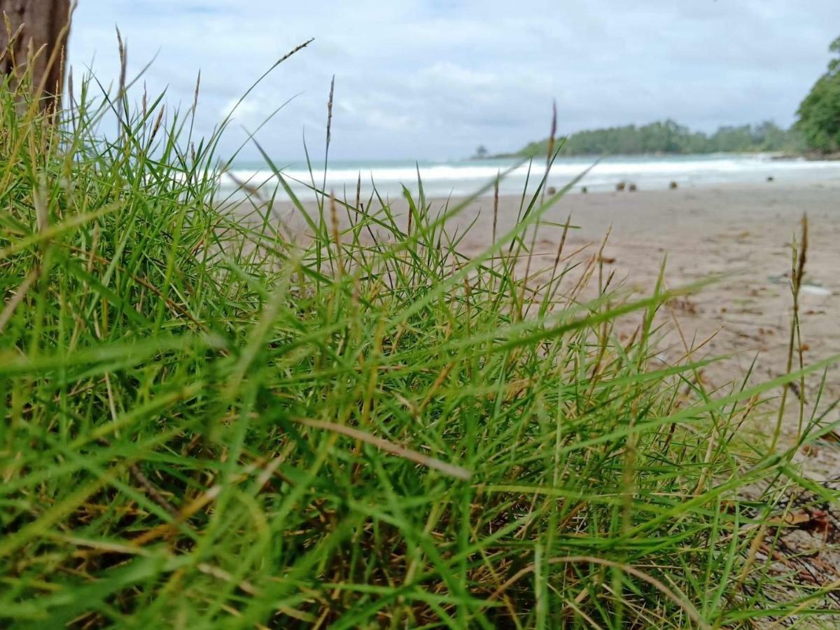 Walk In Homestay Ko Kut 外观 照片