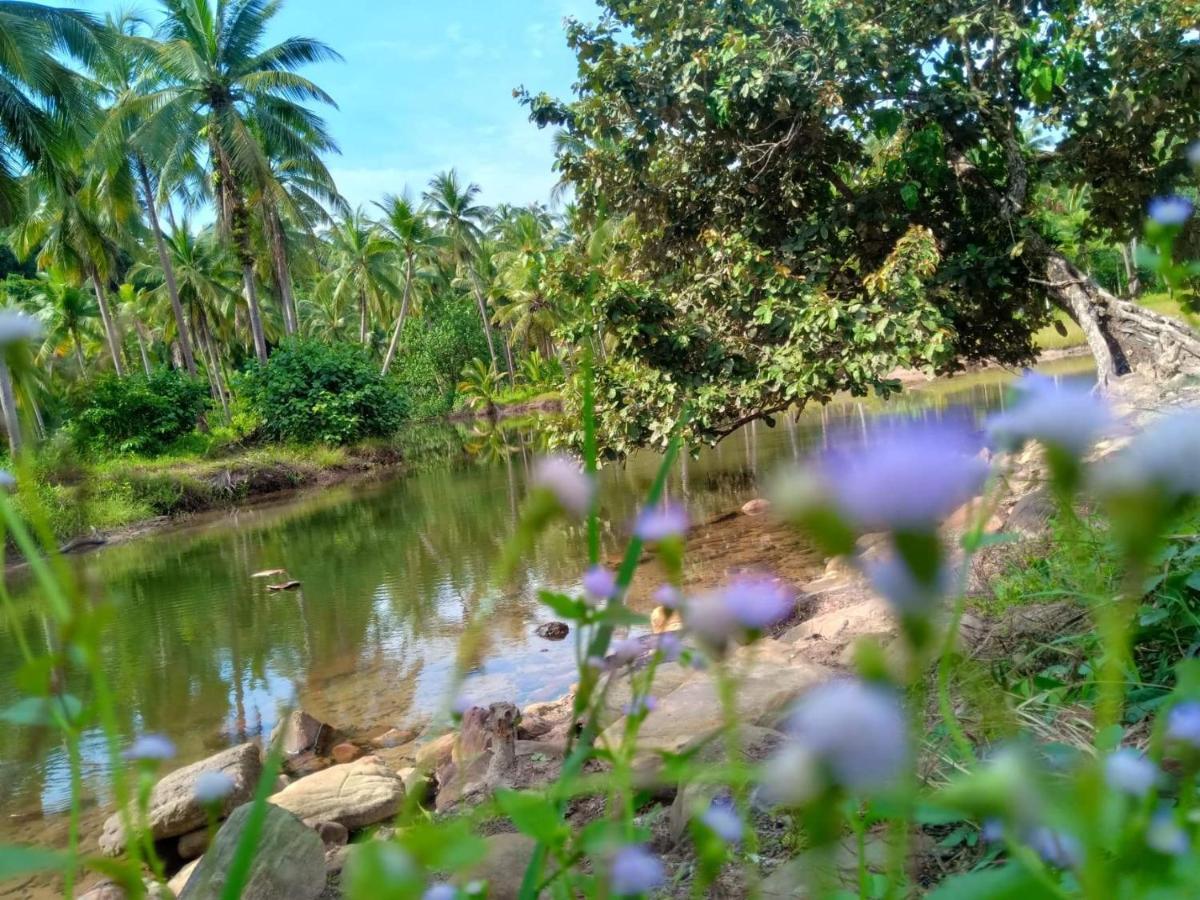 Walk In Homestay Ko Kut 外观 照片