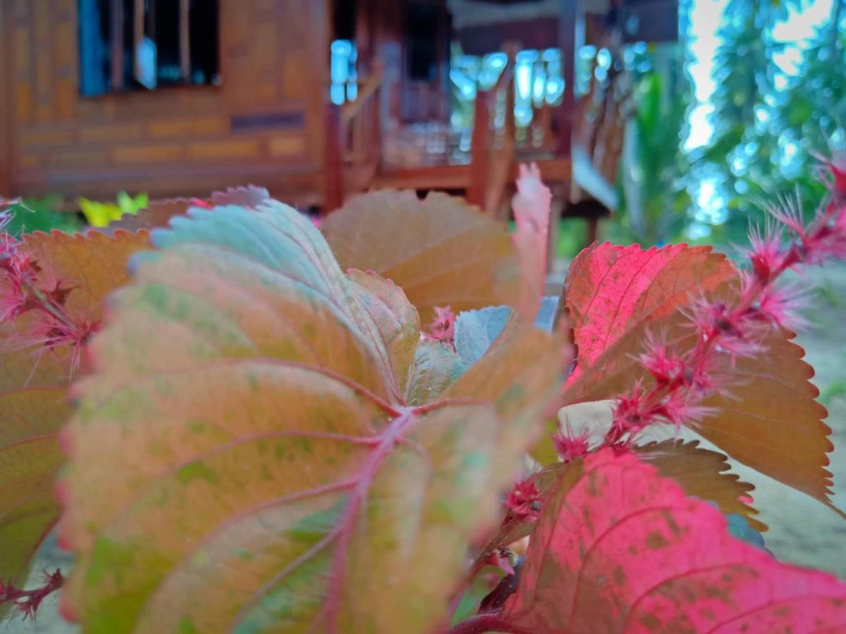 Walk In Homestay Ko Kut 外观 照片